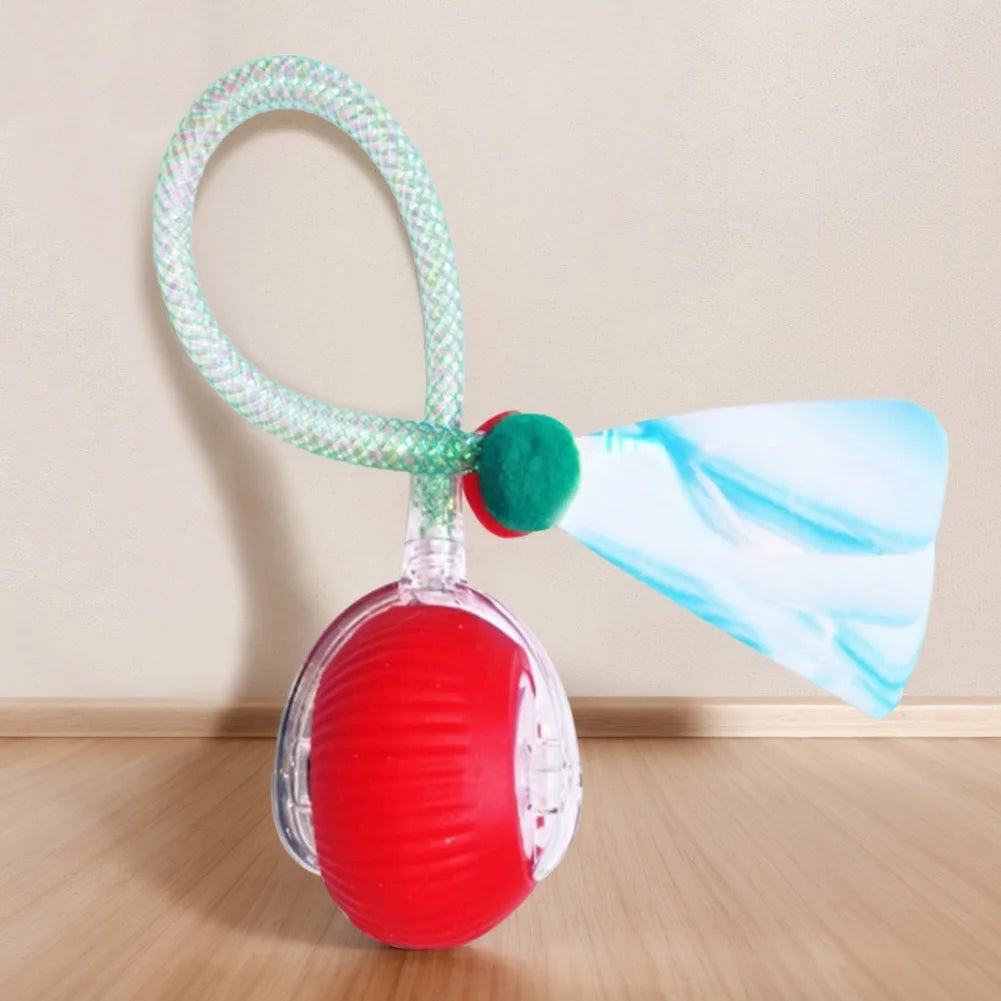 Electric Cat Toy Rechargeable Automatic Pet Exercise Toy with Elastic Mesh Tail Cat Toy Ball for Bored Indoor Adult Cat