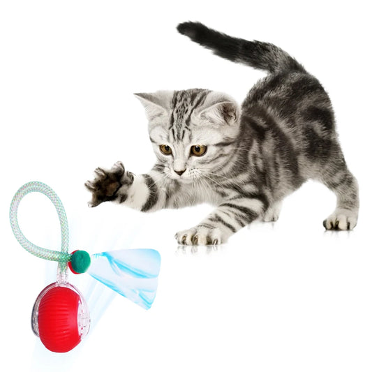 Electric Cat Toy Rechargeable Automatic Pet Exercise Toy with Elastic Mesh Tail Cat Toy Ball for Bored Indoor Adult Cat