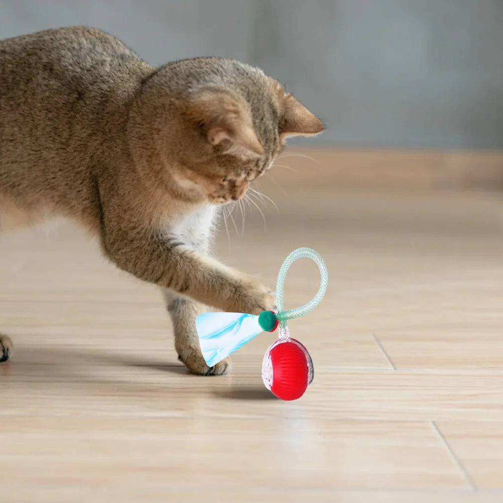 Electric Cat Toy Rechargeable Automatic Pet Exercise Toy with Elastic Mesh Tail Cat Toy Ball for Bored Indoor Adult Cat