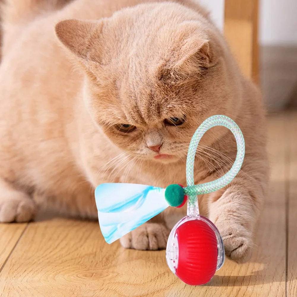 Electric Cat Toy Rechargeable Automatic Pet Exercise Toy with Elastic Mesh Tail Cat Toy Ball for Bored Indoor Adult Cat
